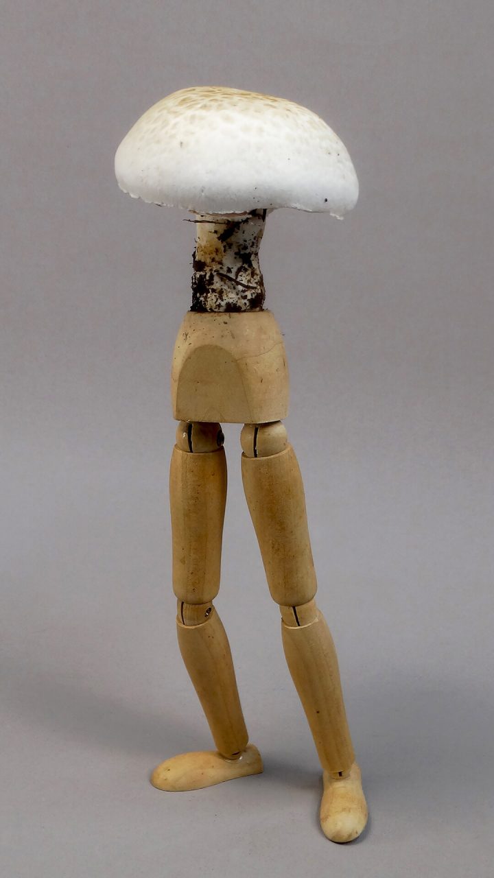 Legs_DSC00690_@_Thierry_ferreira_R