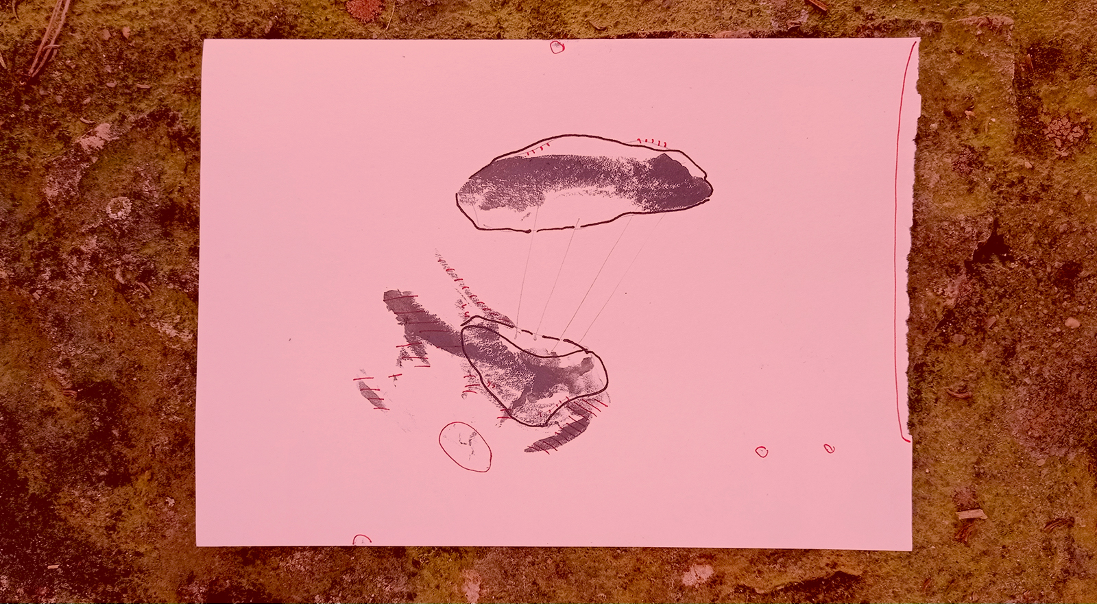 2024 - 80 Exposição - Aruiologia do Ser - BAG Leiria - Thierry FerreiraD