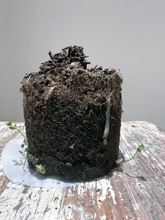 L’artiste Thierry Ferreira marche seul sur l’île de Culatra dans le cadre du projet « Je suis comme un corps mort », une performance et installation explorant la perte de repères, le corps et le territoire à travers une expérience immersive.