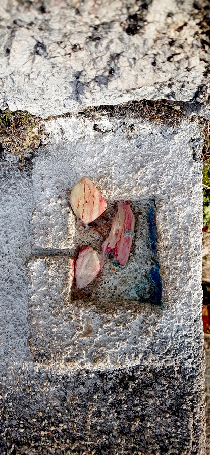 La Mécanique de l’Eau