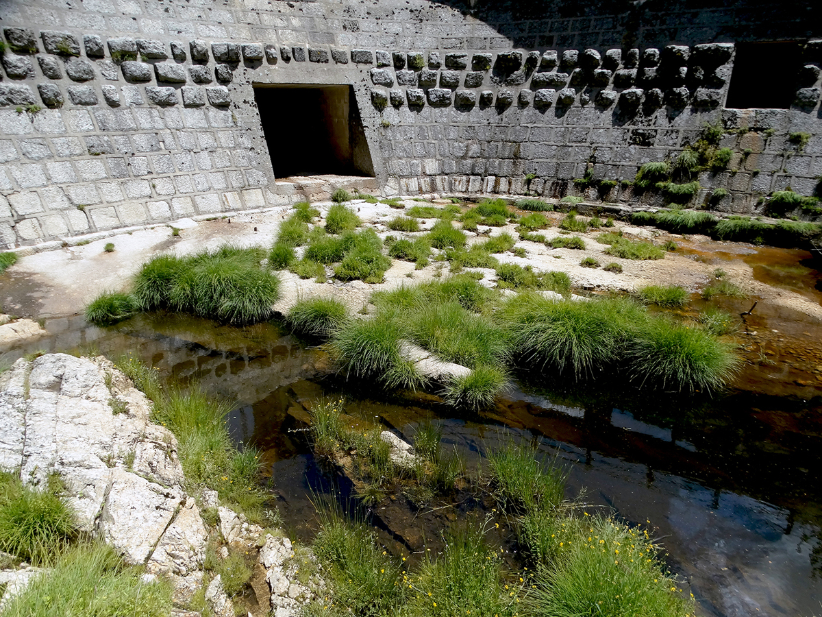 La Mécanique de l’Eau