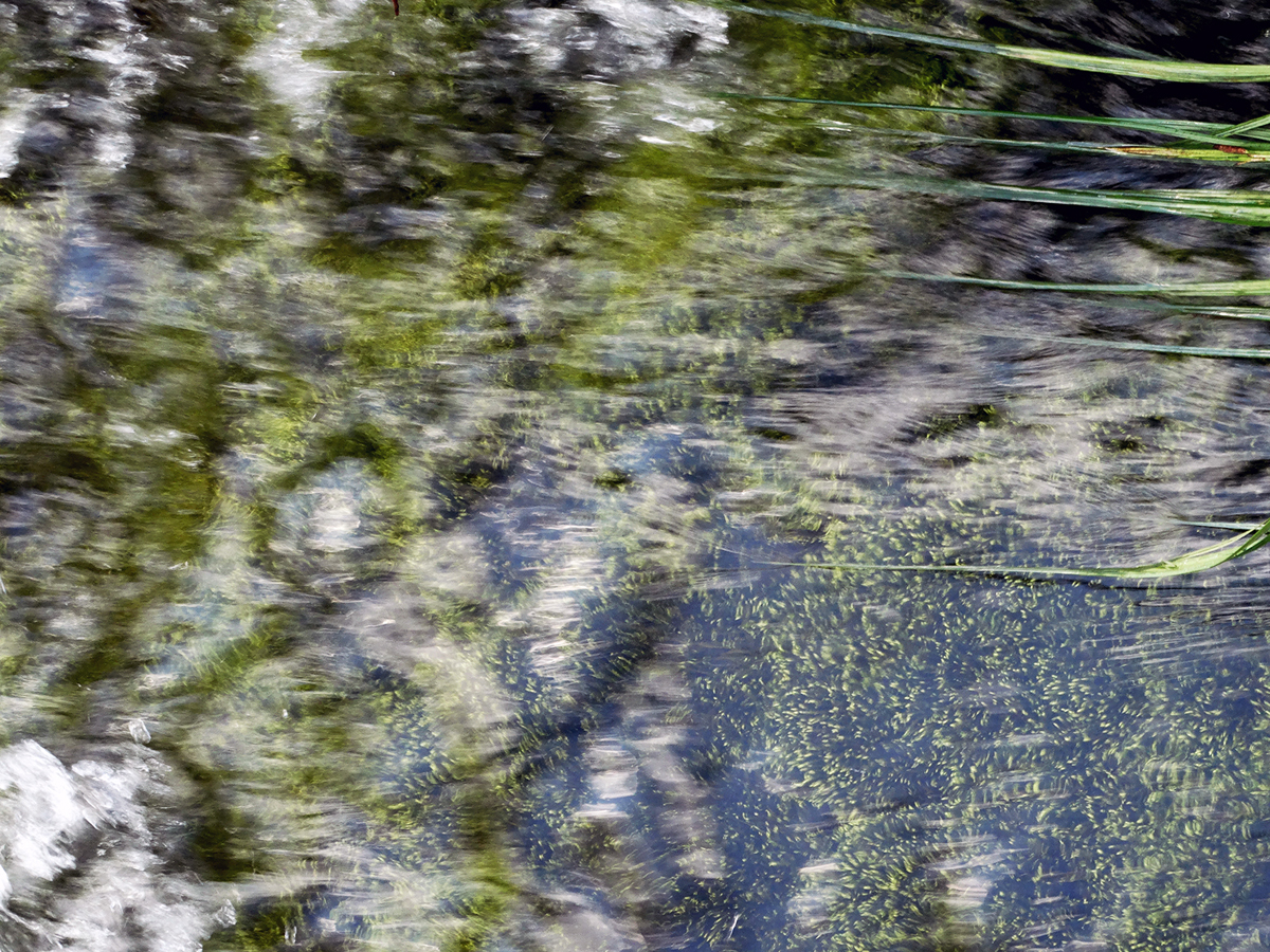 La Mécanique de l’Eau