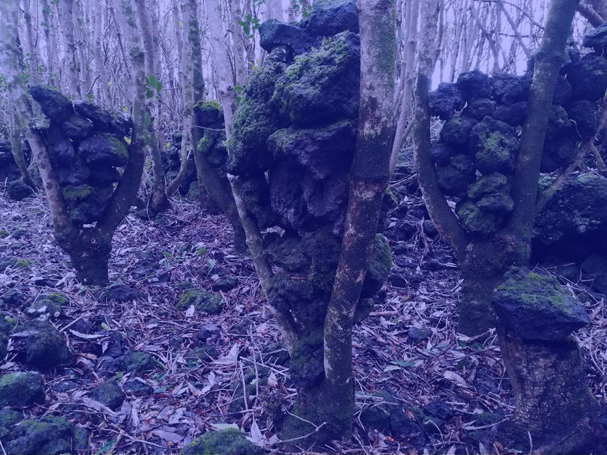 TERRITÓRIOS E PAYSAGEM