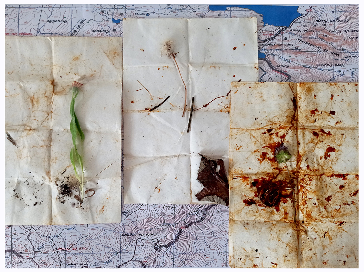 La Mécanique de l’Eau